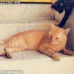 Granville Kerluke Profile Picture