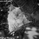 Jacey Schiller Profile Picture