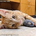 Trudie Wehner Profile Picture