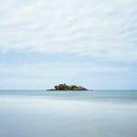 Donato Torp Profile Picture