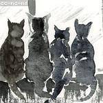 Erik Little Profile Picture