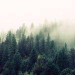 Darrion Ebert Profile Picture