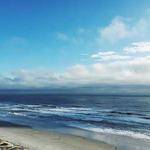 Aisha Reynolds Profile Picture