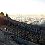 Arlo Romaguera Profile Picture