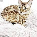 Liza Oberbrunner Profile Picture