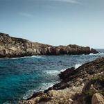 Elmira Farrell Profile Picture