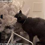 Jeff Stark Profile Picture