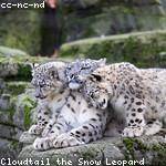 Berneice Predovic Profile Picture