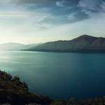 Laverne Friesen Profile Picture