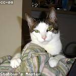 Jillian Wolf Profile Picture