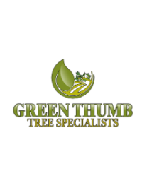 Green Thumb Tree Specialists Inc Profile Picture