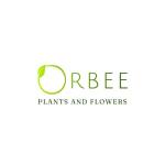 Orbee Plants and Flowers WLL profile picture