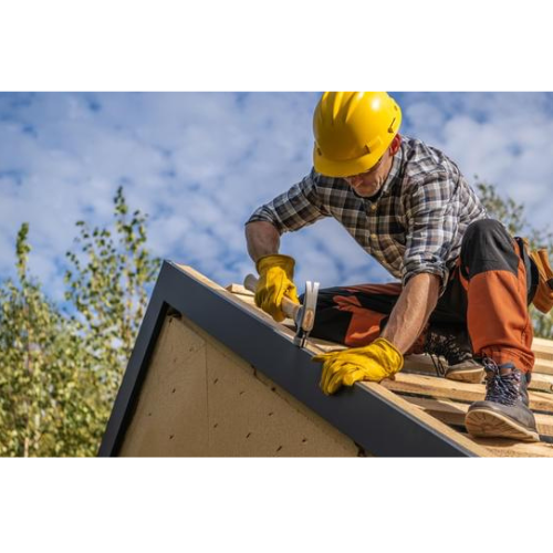 Discover Frog Roofing Profile Picture