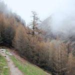 Cruz Wilkinson Profile Picture