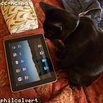 Garrison Sipes Profile Picture