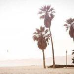 Adell Jerde Profile Picture