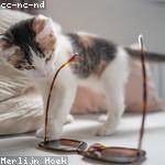 Fay Altenwerth Profile Picture