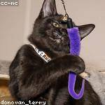 Lyla Littel Profile Picture