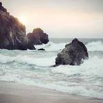 Willis Hahn Profile Picture