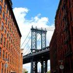 Agnes White Profile Picture