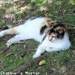 Trisha Osinski Profile Picture