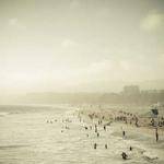 Antonia Davis Profile Picture