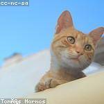 Lexie Klein Profile Picture