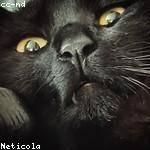 Edd Maggio Profile Picture