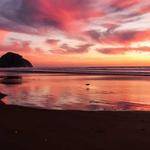 Dewayne Green Profile Picture