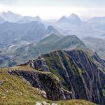 Chanelle Leffler Profile Picture