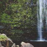 Dusty Conroy Profile Picture