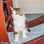 Jamie Larkin Profile Picture