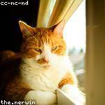 Magdalen Heidenreich Profile Picture