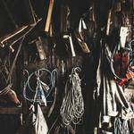 Elissa Gorczany Profile Picture