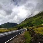 Celestine Leffler Profile Picture