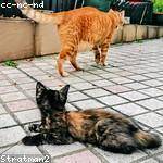 Sydnie Ebert Profile Picture