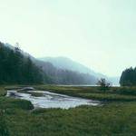 Noe Lueilwitz Profile Picture