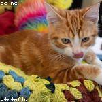 Bridget Graham Profile Picture