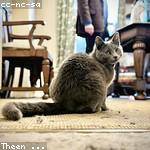 Roberta Will Profile Picture