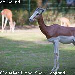 Melvin Reinger Profile Picture