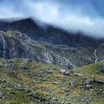 Breanna Wisoky Profile Picture