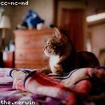 Kariane Runolfsson Profile Picture