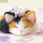 Lawrence Kuvalis Profile Picture