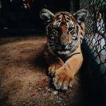 Rosalee Reichel Profile Picture