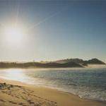 Taya Brakus Profile Picture