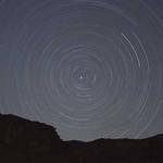 Alivia Denesik Profile Picture