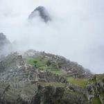 Retha Weissnat Profile Picture