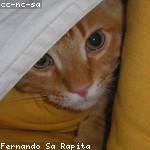 Haleigh Roberts Profile Picture