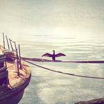 Irma Wilderman Profile Picture