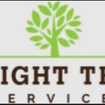 Wright Tree Service Profile Picture